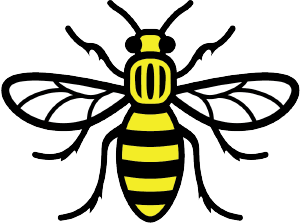 bee-72x72-300ppi-1